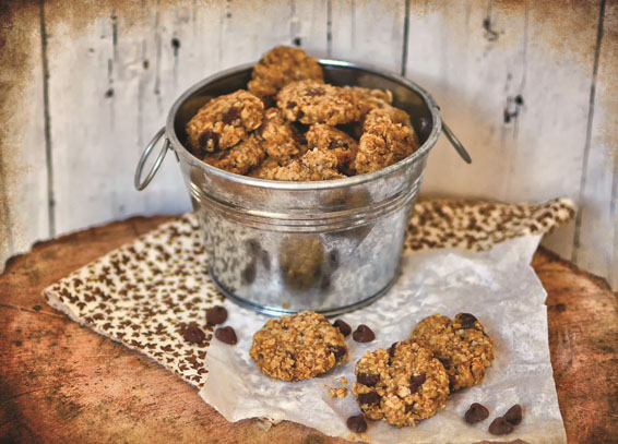 Crocantes com Caspa de Dragão - Cookies de aveia