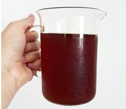 Cold Brew com água de côco