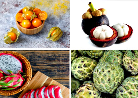 Frutas exóticas: conheça os benefícios e uma receita especial